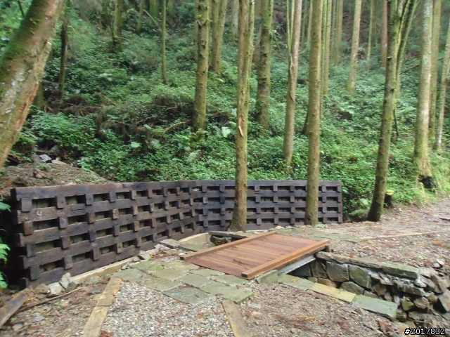 9/12塔塔加登東埔山--獨自漫步幽靜的特富野古道