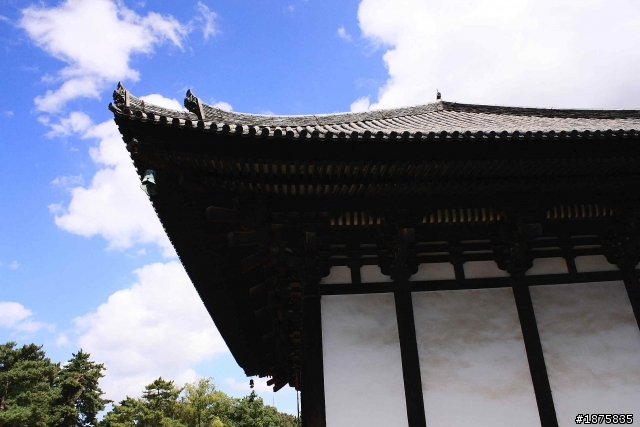 大阪海遊館(圖多)- 已新增奈良與京都照片
