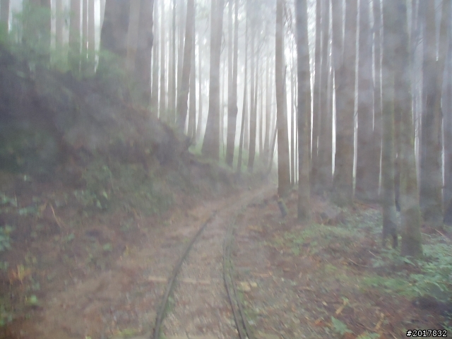 9/12塔塔加登東埔山--獨自漫步幽靜的特富野古道