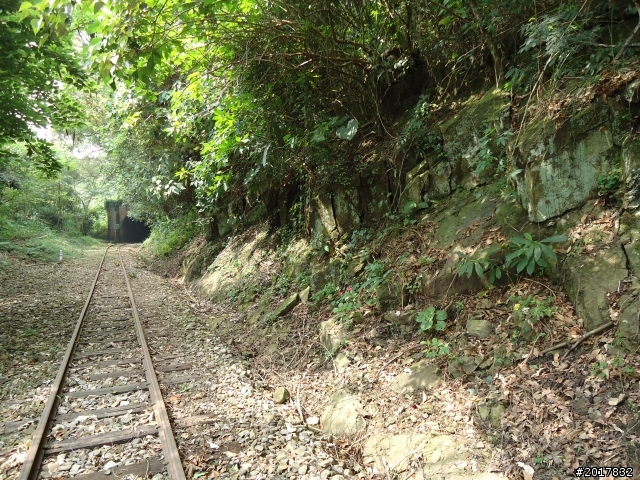 9/24阿里山鐵道秋遊漫步(樟腦寮車站-獨立山車站)