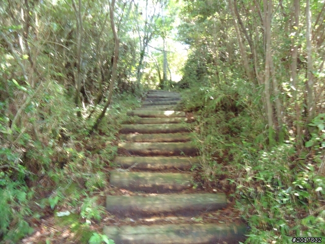 9/12塔塔加登東埔山--獨自漫步幽靜的特富野古道