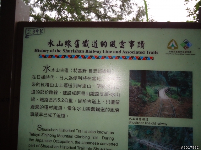 9/12塔塔加登東埔山--獨自漫步幽靜的特富野古道