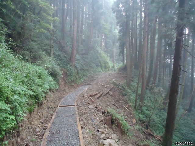 9/12塔塔加登東埔山--獨自漫步幽靜的特富野古道