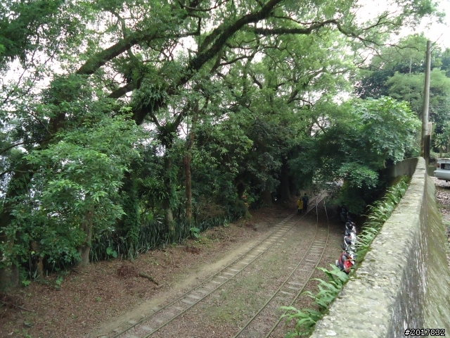 9/24阿里山鐵道秋遊漫步(樟腦寮車站-獨立山車站)