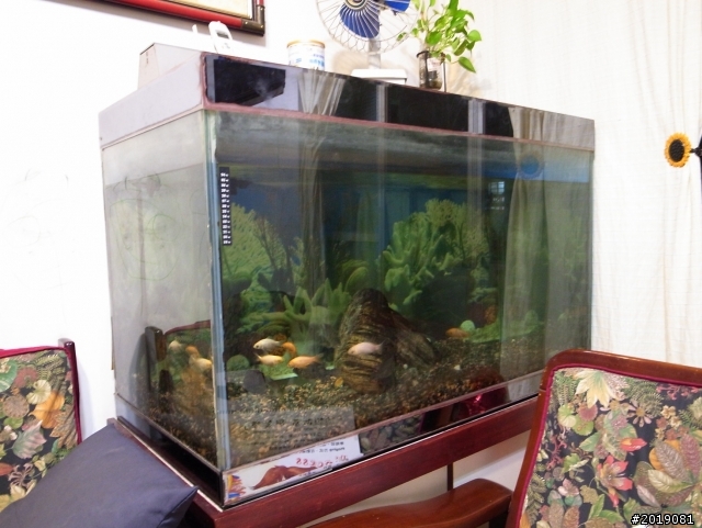 有人願意收留我家魚缸嗎?10/30 更新:已送出 (被Le****p大大放鴿子)