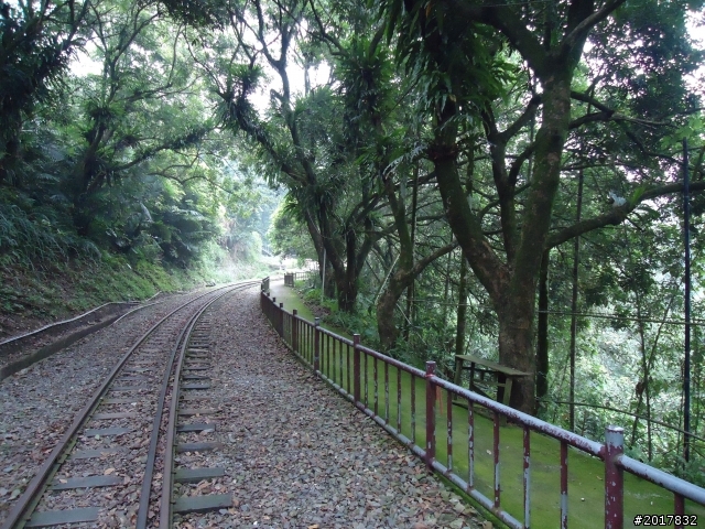 9/24阿里山鐵道秋遊漫步(樟腦寮車站-獨立山車站)