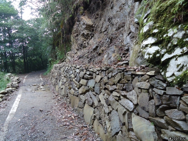 9/12塔塔加登東埔山--獨自漫步幽靜的特富野古道