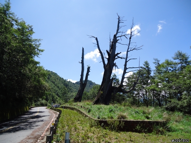 9/12塔塔加登東埔山--獨自漫步幽靜的特富野古道