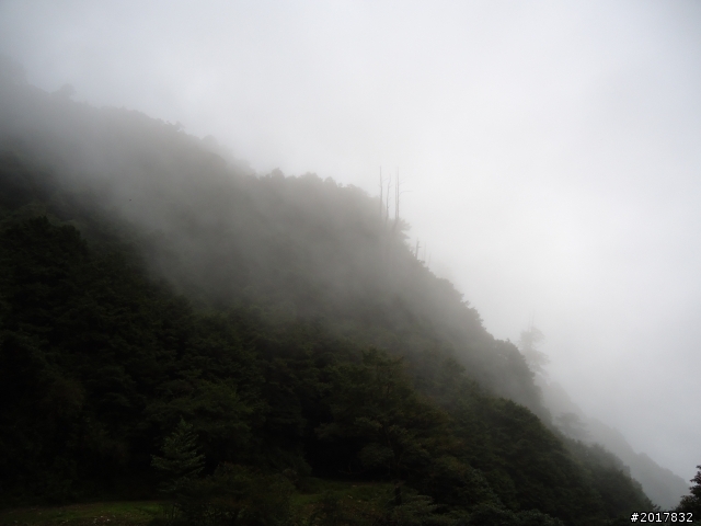 9/12塔塔加登東埔山--獨自漫步幽靜的特富野古道