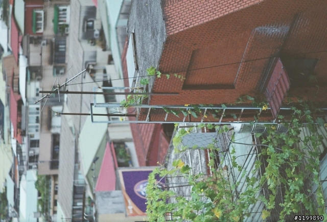 請教各位底片老手,這樣的沖掃結果 (看來全都像是 LOMO 照) 是否正常 ?
