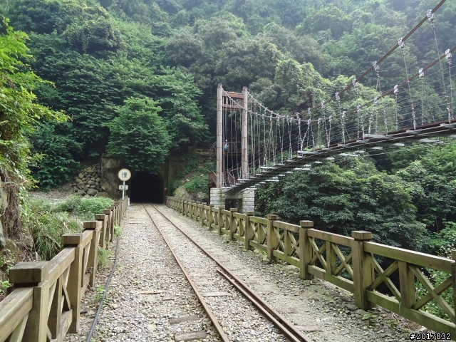 9/24阿里山鐵道秋遊漫步(樟腦寮車站-獨立山車站)