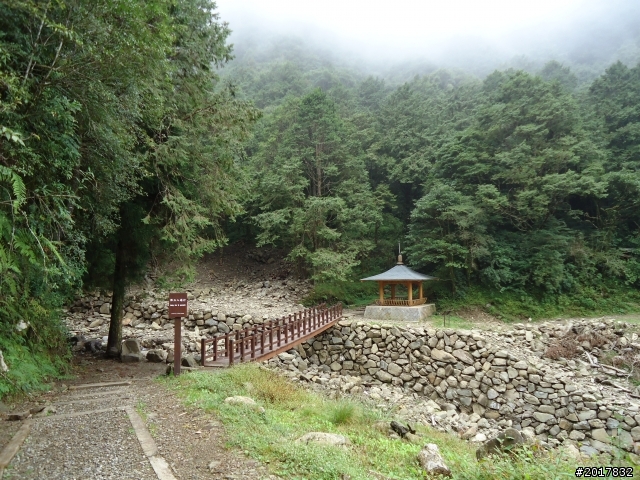 9/12塔塔加登東埔山--獨自漫步幽靜的特富野古道