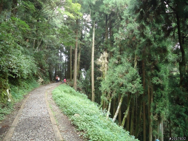9/12塔塔加登東埔山--獨自漫步幽靜的特富野古道