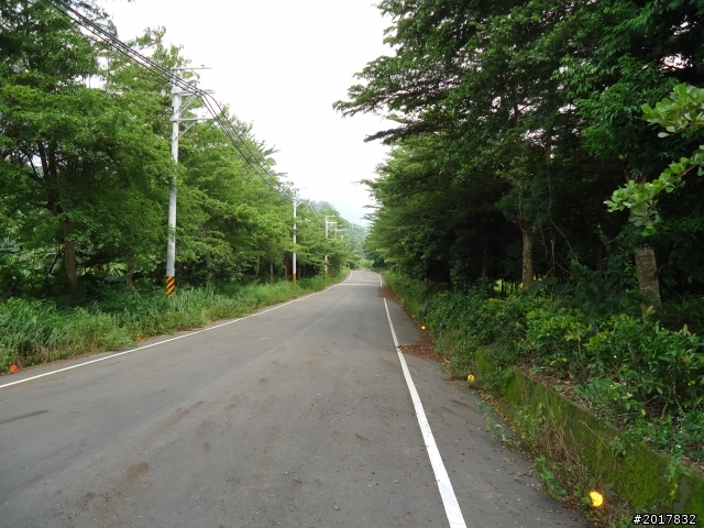 9/1白河崁頂福安宮___175咖啡公路