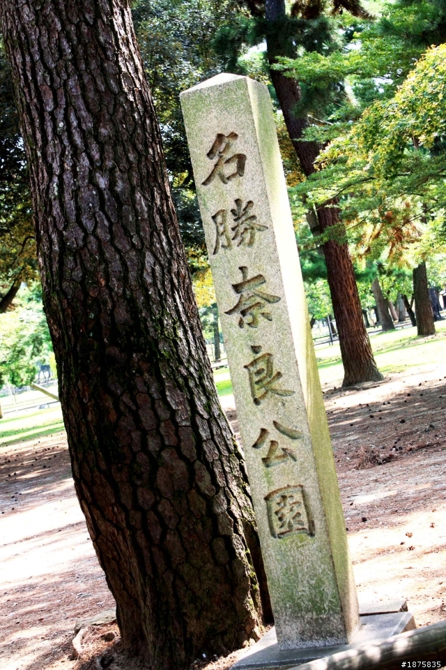 大阪海遊館(圖多)- 已新增奈良與京都照片