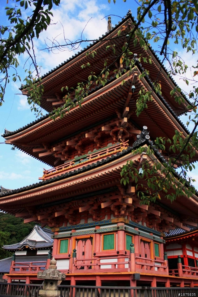 大阪海遊館(圖多)- 已新增奈良與京都照片