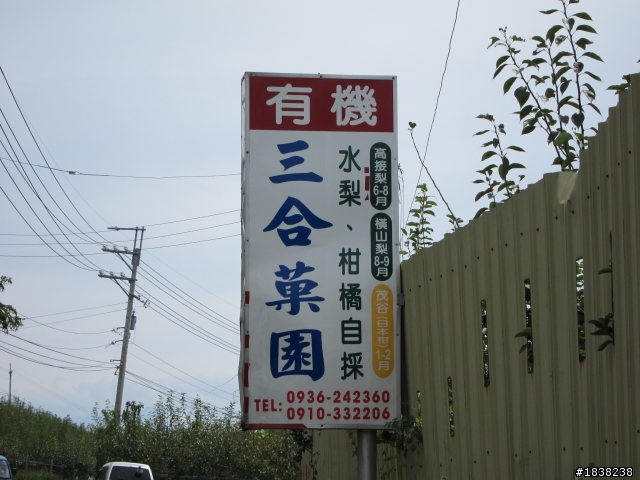 好吃的梨子-卓蘭三合菓園(遊記)