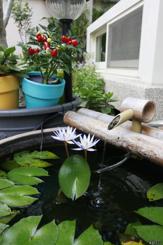 懶人花圃DIY 第二集 (空中迷你花圃)