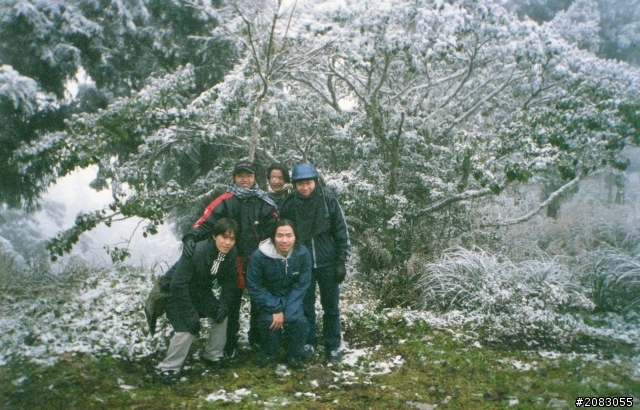 回憶不可考之太平山之旅加心情寫照(圖少)