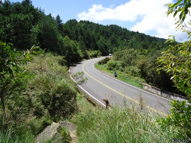 9/12塔塔加登東埔山--獨自漫步幽靜的特富野古道