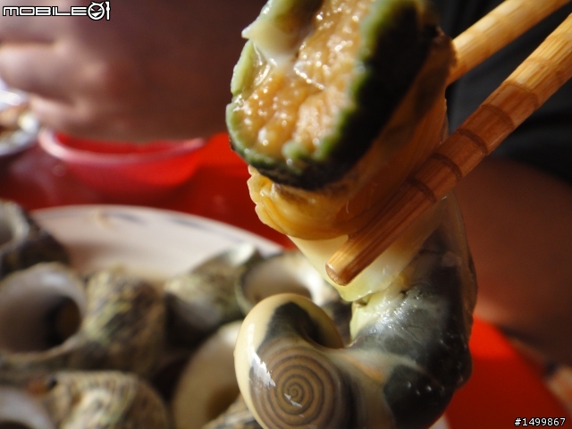 拖好久的~閃閃雙人九天環島記(07.27-08.01) 終於完結篇了!!!!!