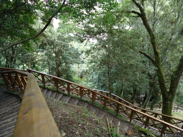 9/12塔塔加登東埔山--獨自漫步幽靜的特富野古道
