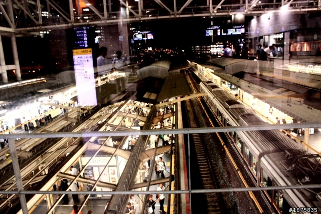 大阪海遊館(圖多)- 已新增奈良與京都照片
