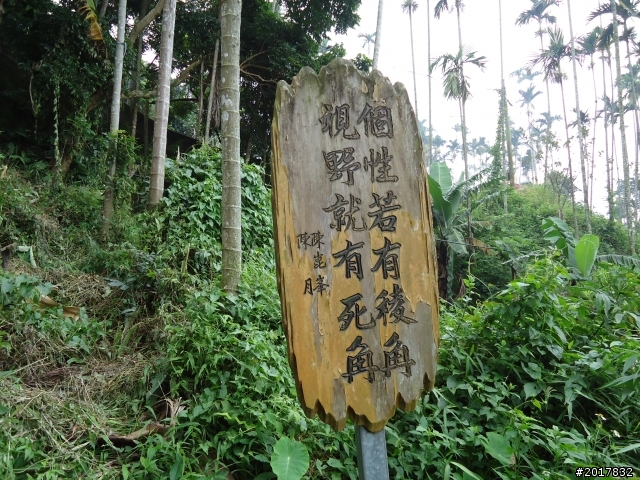 9/24阿里山鐵道秋遊漫步(樟腦寮車站-獨立山車站)