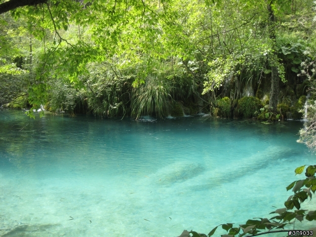 我在克羅埃西亞之十六湖公園 Plitvicka Jezera