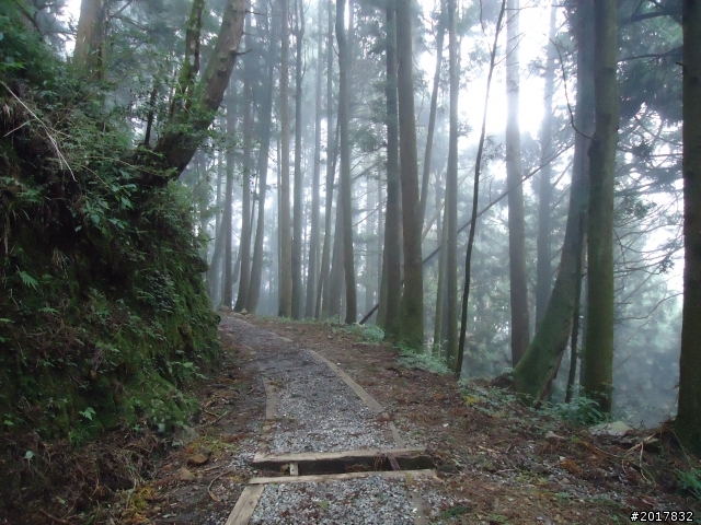 9/12塔塔加登東埔山--獨自漫步幽靜的特富野古道