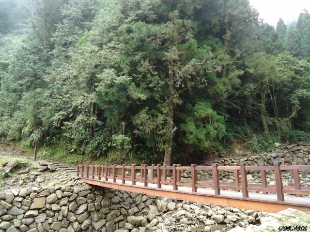 9/12塔塔加登東埔山--獨自漫步幽靜的特富野古道