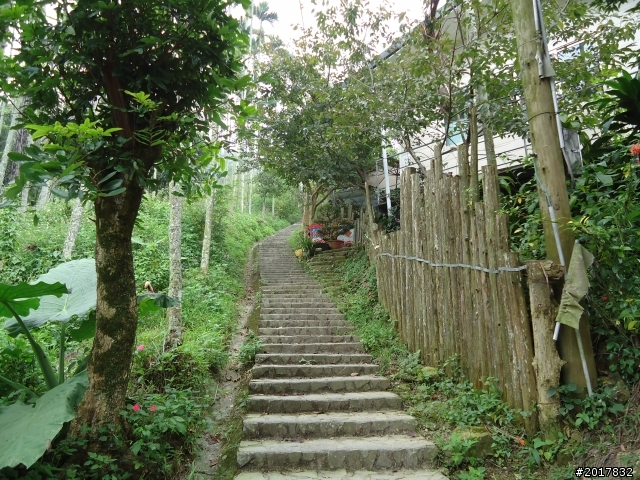 9/24阿里山鐵道秋遊漫步(樟腦寮車站-獨立山車站)