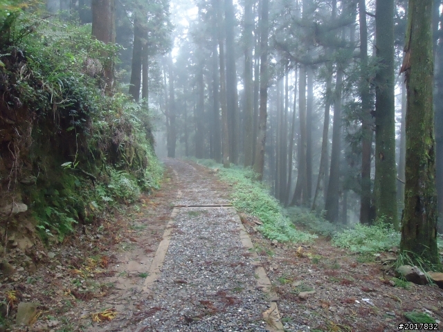 9/12塔塔加登東埔山--獨自漫步幽靜的特富野古道