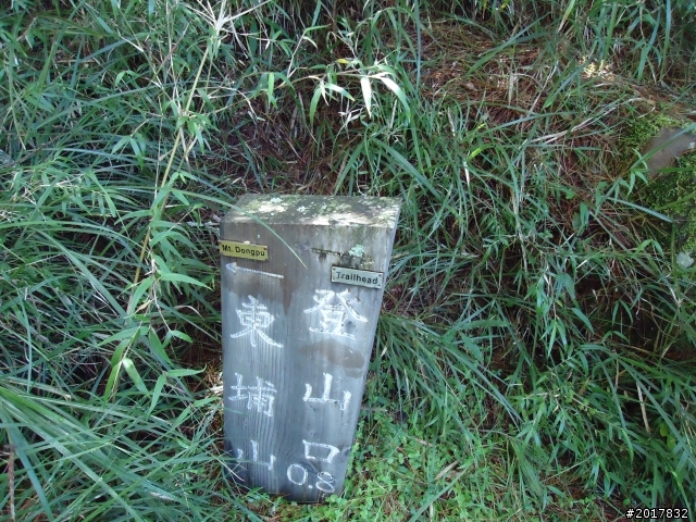 9/12塔塔加登東埔山--獨自漫步幽靜的特富野古道