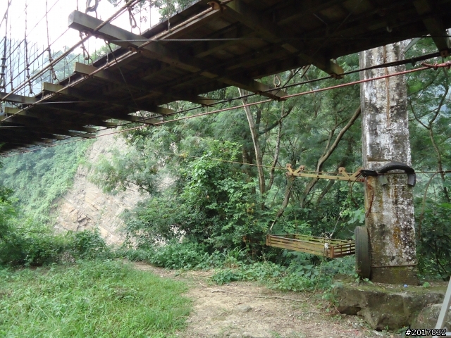 9/19愛戀阿里山之雲裡霧裡(十字路社區.二萬坪步道.頂湖風景區.草山村)