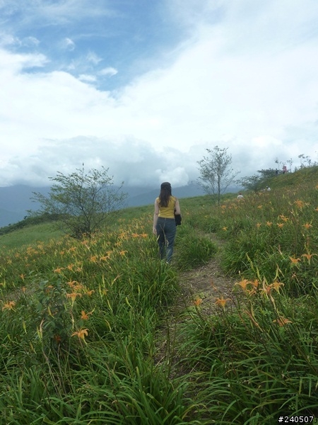 讓青春甩尾吧!七天六夜環島神奇之旅 Day 5 壯麗的六十石山與懷念的大禹車站