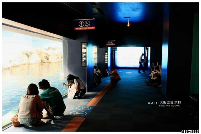 大阪海遊館(圖多)- 已新增奈良與京都照片