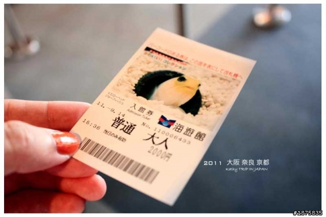 大阪海遊館(圖多)- 已新增奈良與京都照片