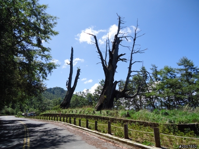 9/12塔塔加登東埔山--獨自漫步幽靜的特富野古道