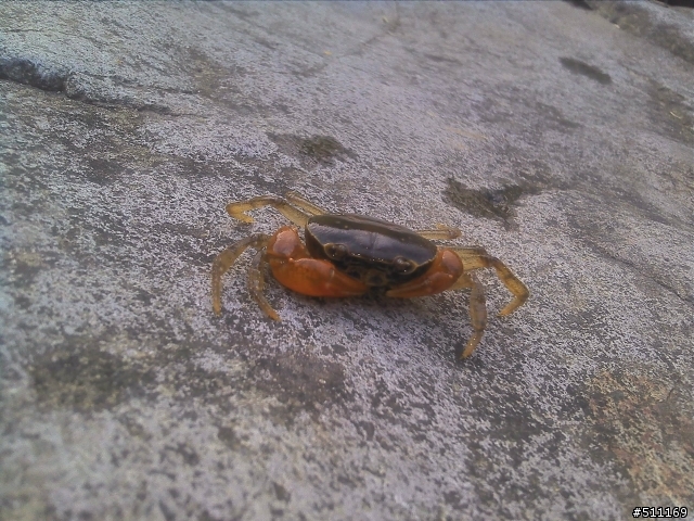 快樂釣魚行