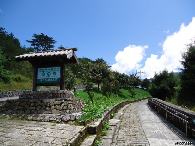 9/12塔塔加登東埔山--獨自漫步幽靜的特富野古道