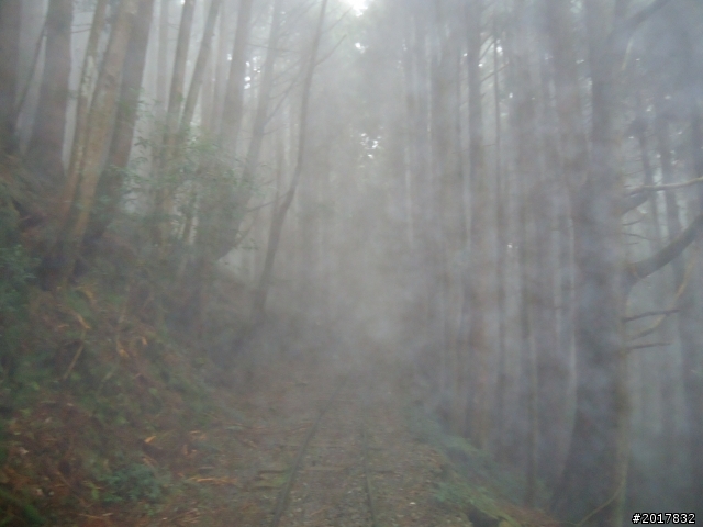 9/12塔塔加登東埔山--獨自漫步幽靜的特富野古道