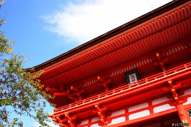 大阪海遊館(圖多)- 已新增奈良與京都照片
