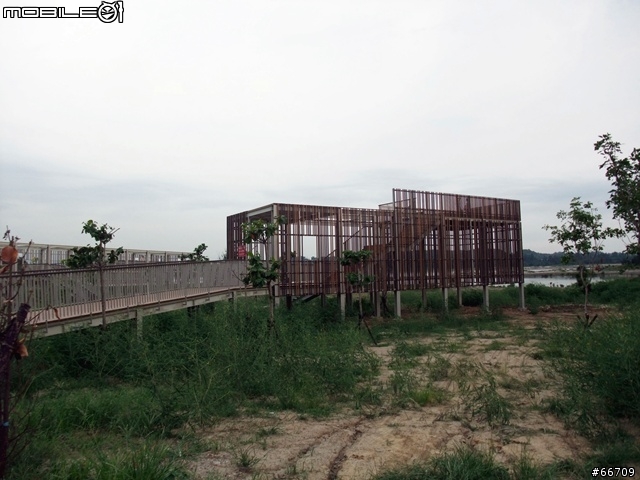 小納苗栗慢活貓海裏