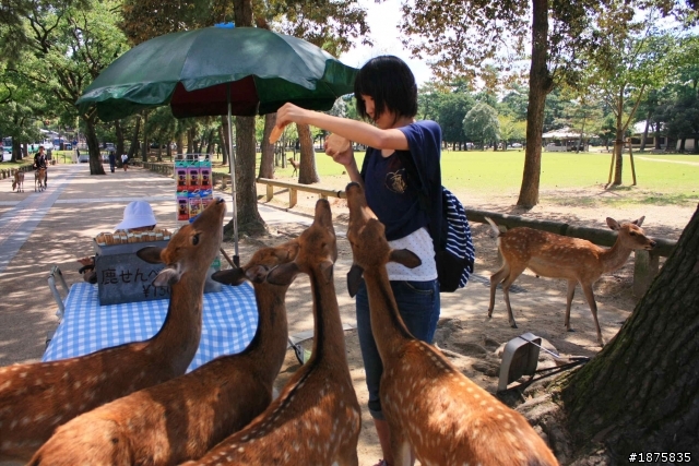 大阪海遊館(圖多)- 已新增奈良與京都照片