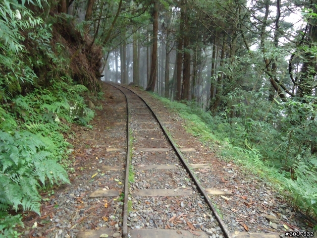 9/12塔塔加登東埔山--獨自漫步幽靜的特富野古道