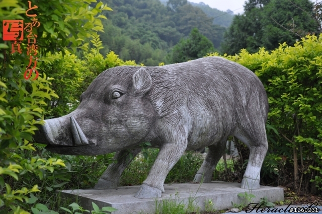 9月10號 泰雅族部落時裝展,附帶問題請求指導
