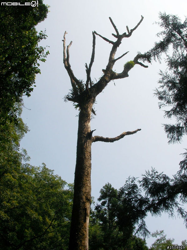 2011-09-07羅馬公路118 北橫台七線 北宜台九線