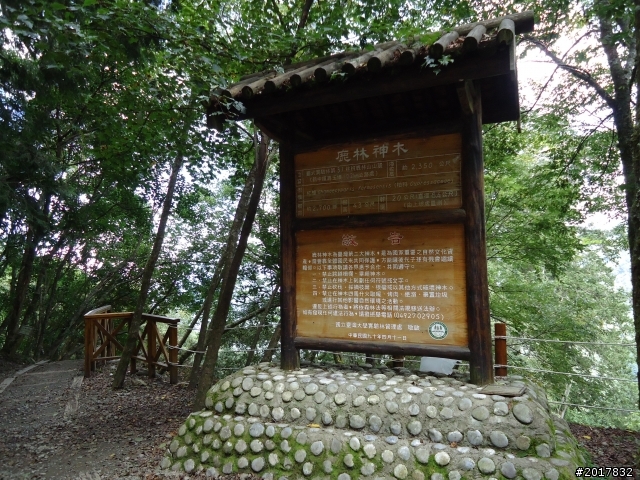 9/12塔塔加登東埔山--獨自漫步幽靜的特富野古道