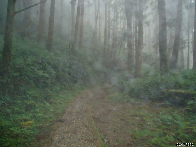 9/12塔塔加登東埔山--獨自漫步幽靜的特富野古道